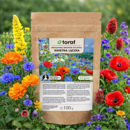 Mieszanka kwiatów polnych Kwietna Łączka 100g vis TORAF nasiona sklep rajogrodnika